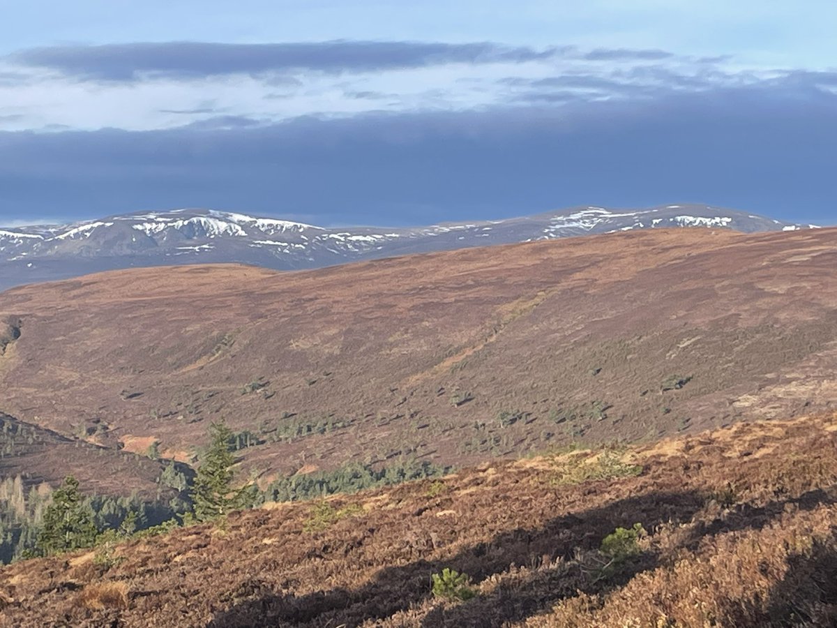 InnesHaughey's tweet photo. Gorgeous morning looking down the Firth and back to the Benn. Take care and look out for others 😎 https://t.co/viq9o8kpQK