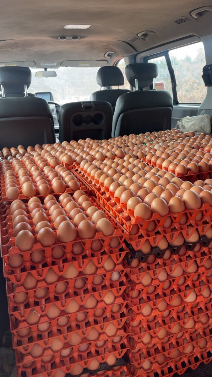 Zery🔰 tweet media