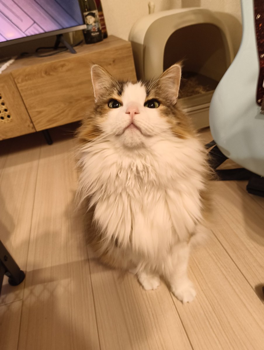 エムジェイ(MJHD, Yusuke Otsuka) tweet media