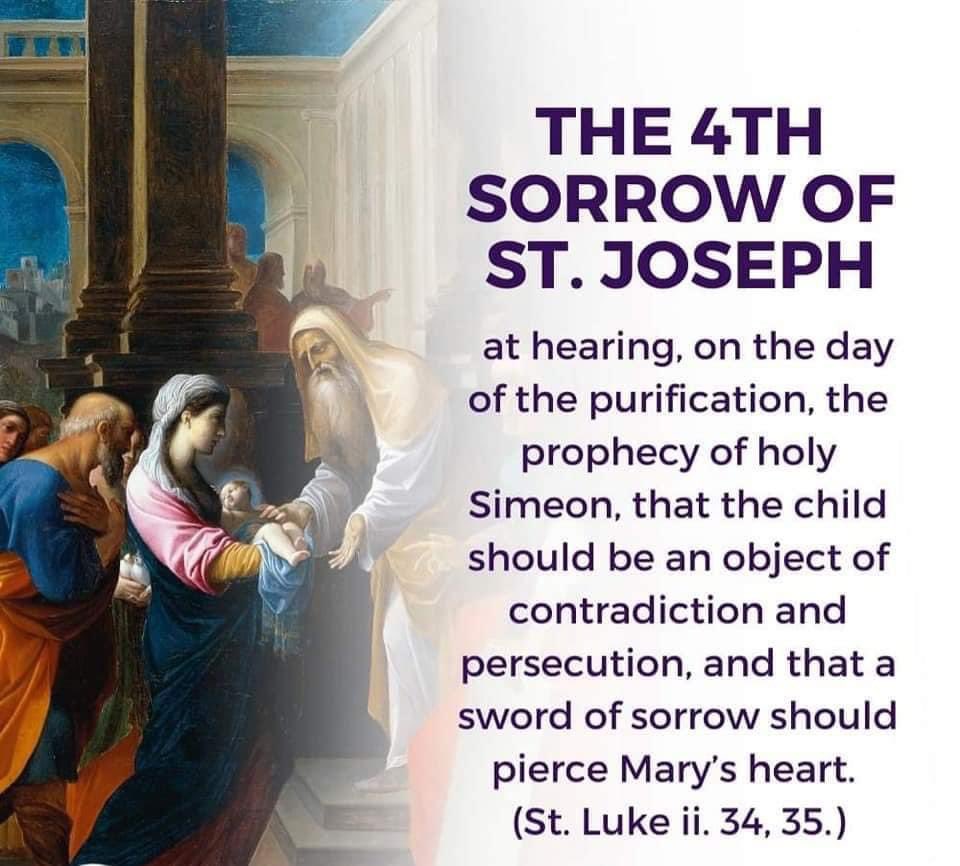 Lenten Devotion: The Seven Sorrows of St. Joseph

O chaste Spouse of Mary most holy, glorious St. Joseph, great was the trouble and anguish of your heart when you wert minded to put away privately your inviolate Spouse, yet your joy was unspeakable when the surpassing mystery of