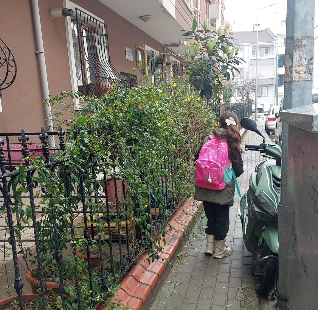 Ayşe Özer tweet media