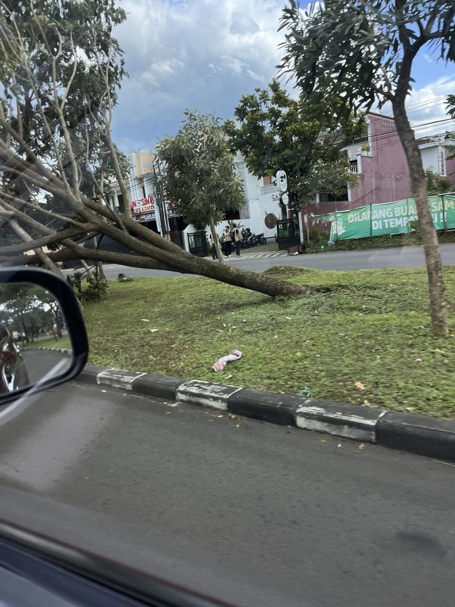 matz 🐡 tweet media