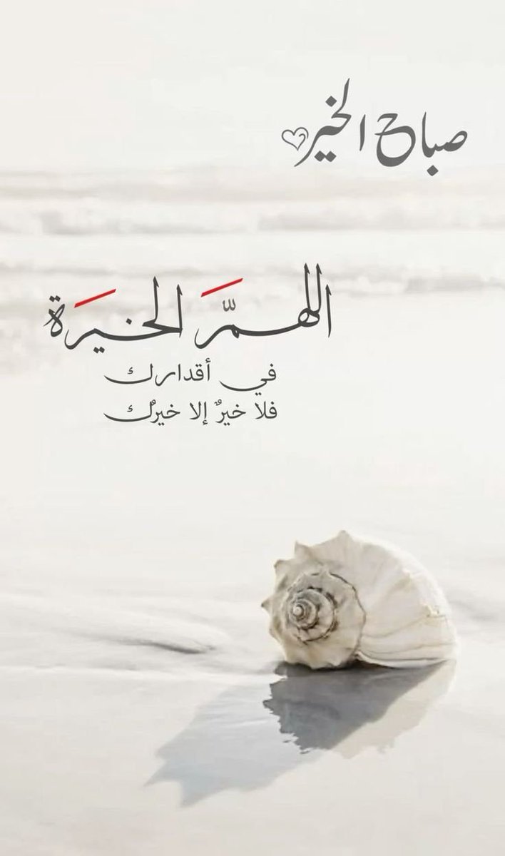 🇴🇲🫀 tweet media