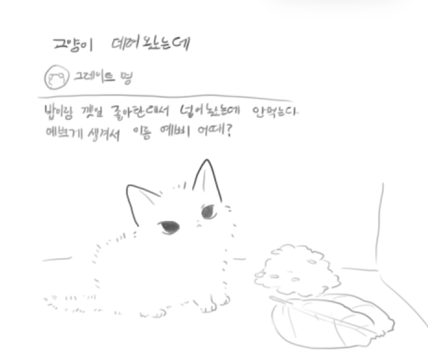 🍰 (@myomyo_1204) on Twitter photo 