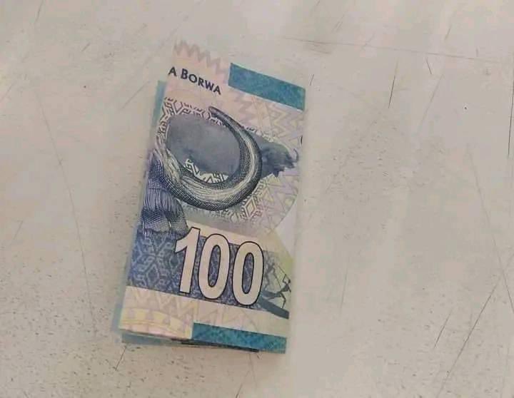 Khanyisile Jamani tweet media