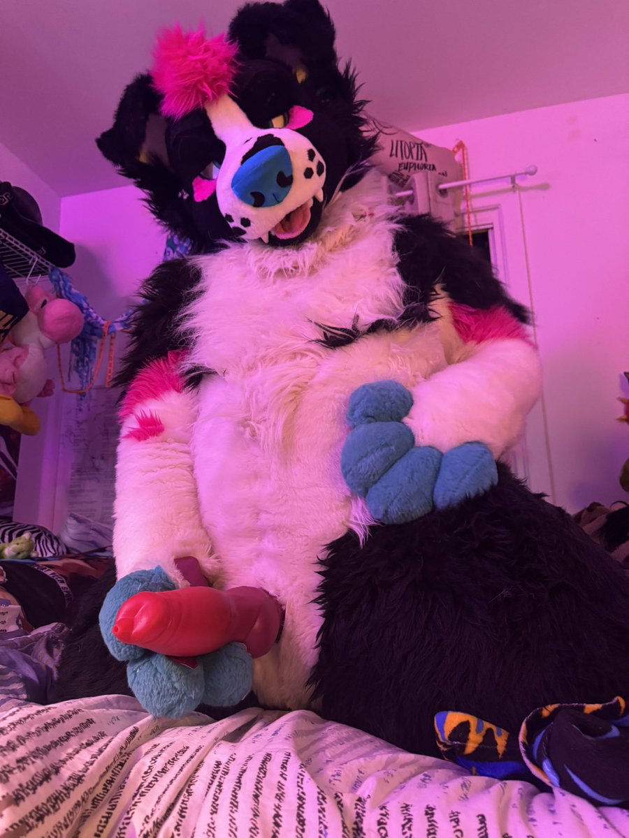 Flow ✨➡️FE tweet media