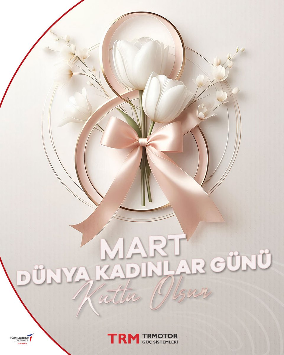 TRMOTOR Güç Sistemleri tweet media