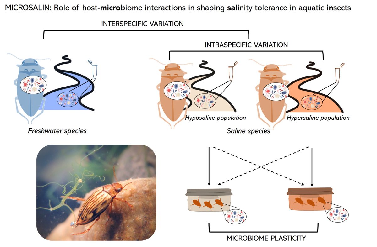 EcoAquaUMU tweet media
