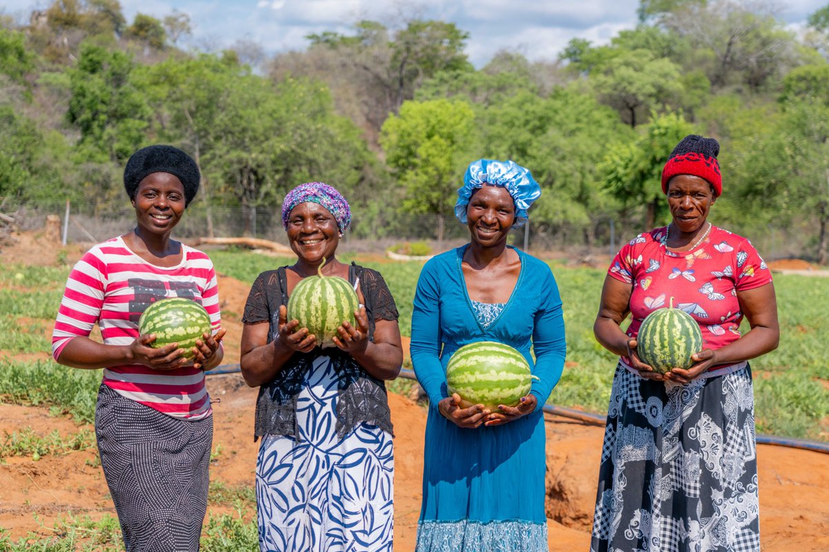 CARE Zimbabwe tweet media