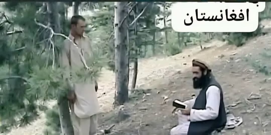 Qari wesal tweet media