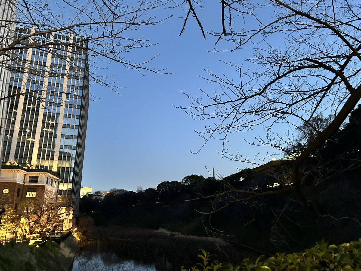 池田開渡 KAITO Ikeda tweet media