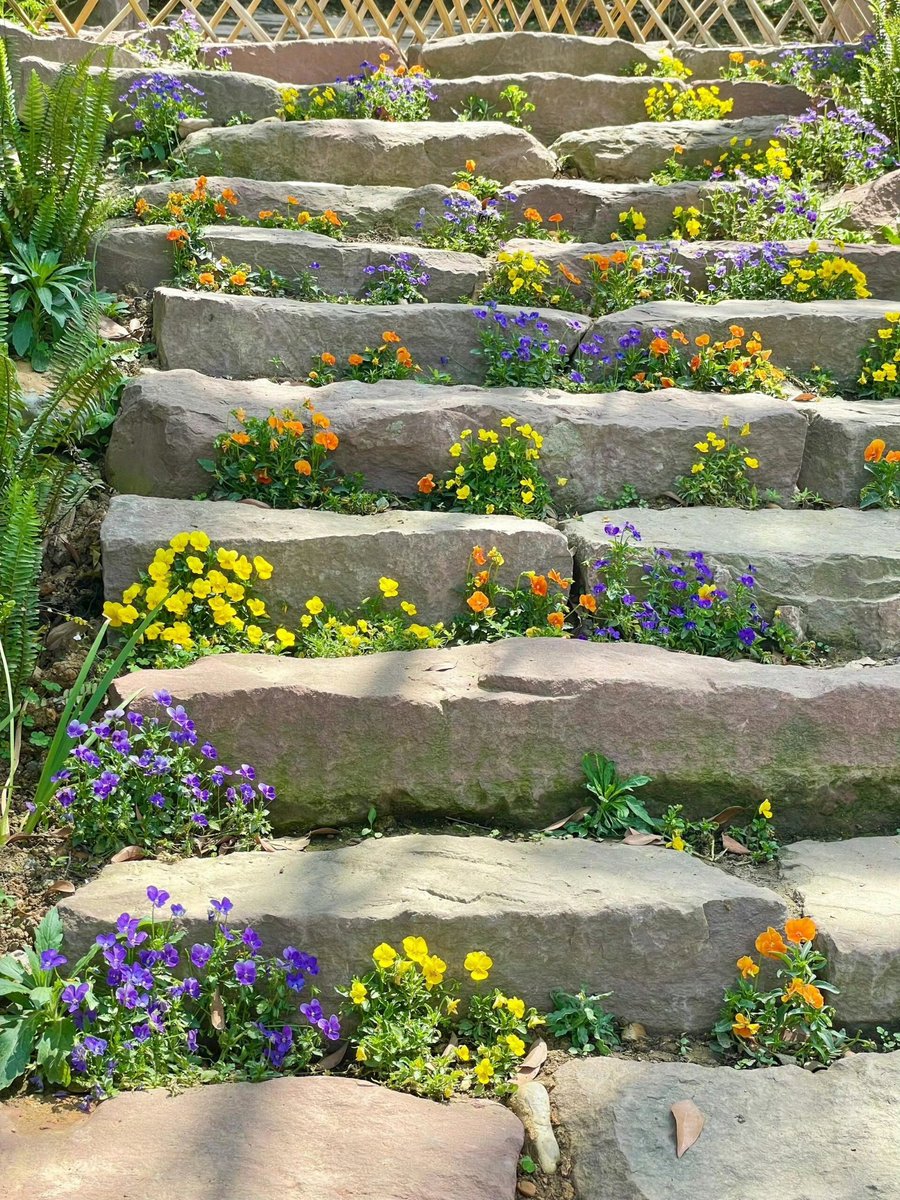 只需布局三年，就没人敢瞧不起你：

一、每天布局：

1、每天坚持早睡早起。晚上23：00前睡，早上6:00前起，坚持用心中的梦想唤醒自己。

2、每天坚持阅读。尤其要读名人传记，用名人的经历启迪自己，站在巨人的肩上看世界。