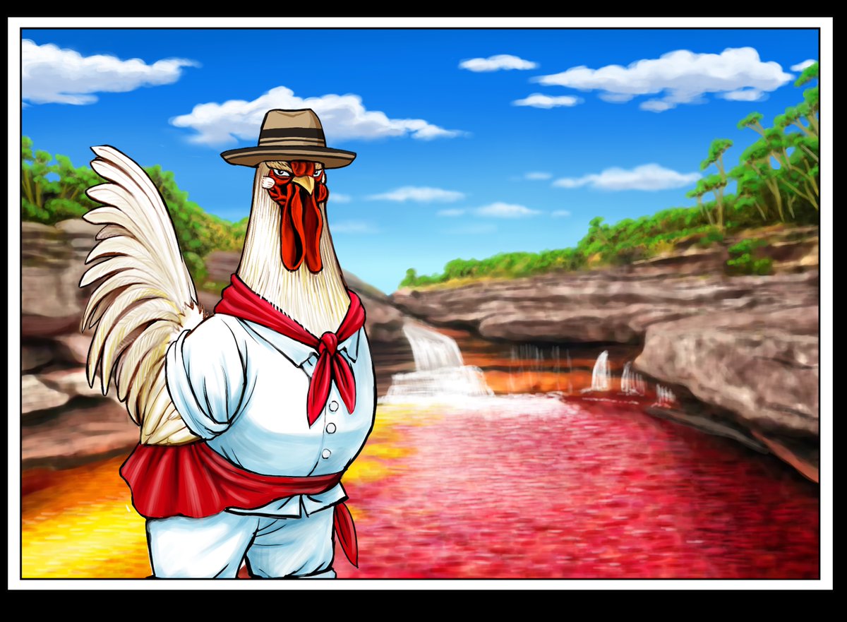 Antes del estreno del anime, reposteo esa ilustración anterior llena de gratitud… ¡edición Colombia!🐓🥰🇨🇴#roosterfighter