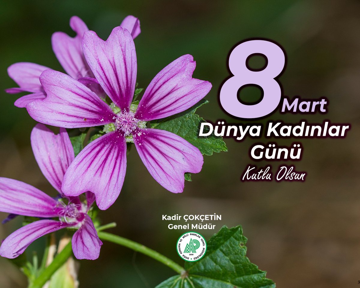 🌸 Doğal güzelliklerimizi geleceğe taşımak, zengin yaban hayatımızı korumak ve biyolojik çeşitliliğimizi yarınlara aktarmak için büyük bir emek gösteren kadın çalışanlarımız başta olmak üzere tüm kadınlarımızın Kadınlar Günü kutlu olsun! 🌿

#8MartDünyaKadınlarGünü 
#8Mart