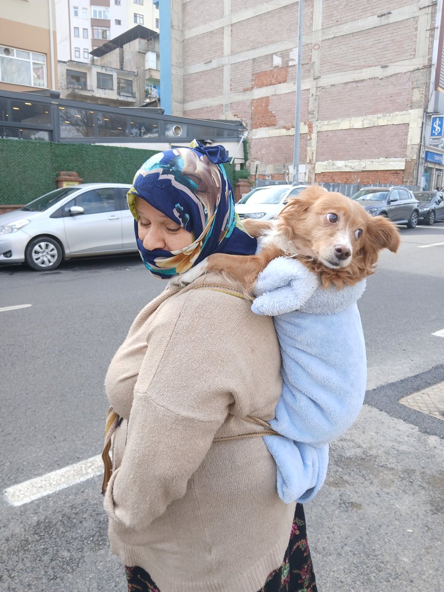 Dünyayı merhametli kadınlar yönetseydi eğer dünya cennet gibi bir yer olurdu !

#8MartDünyaKadınlarGünü