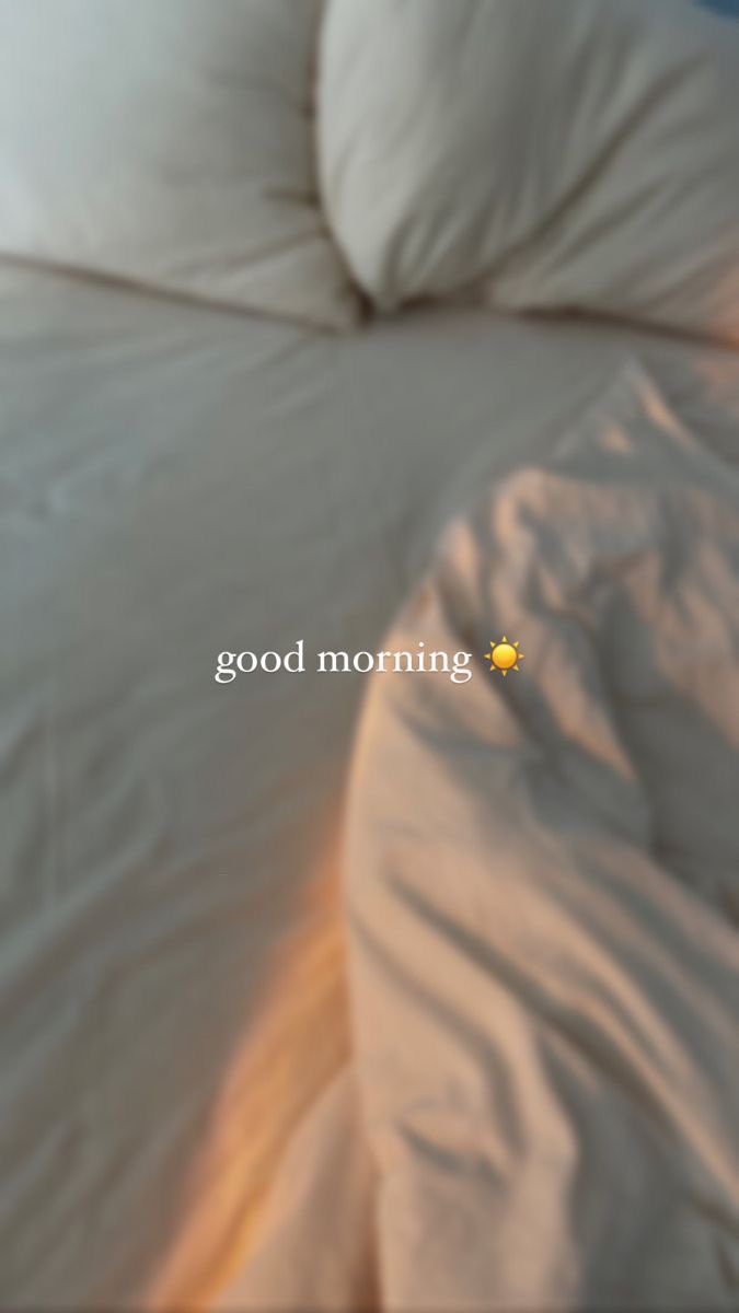 Evca Wolf tweet media