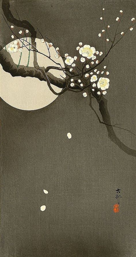 twilight_art's tweet photo. 小原古邨《月夜の梅》20世紀前半 https://t.co/IiSGkMWnEq