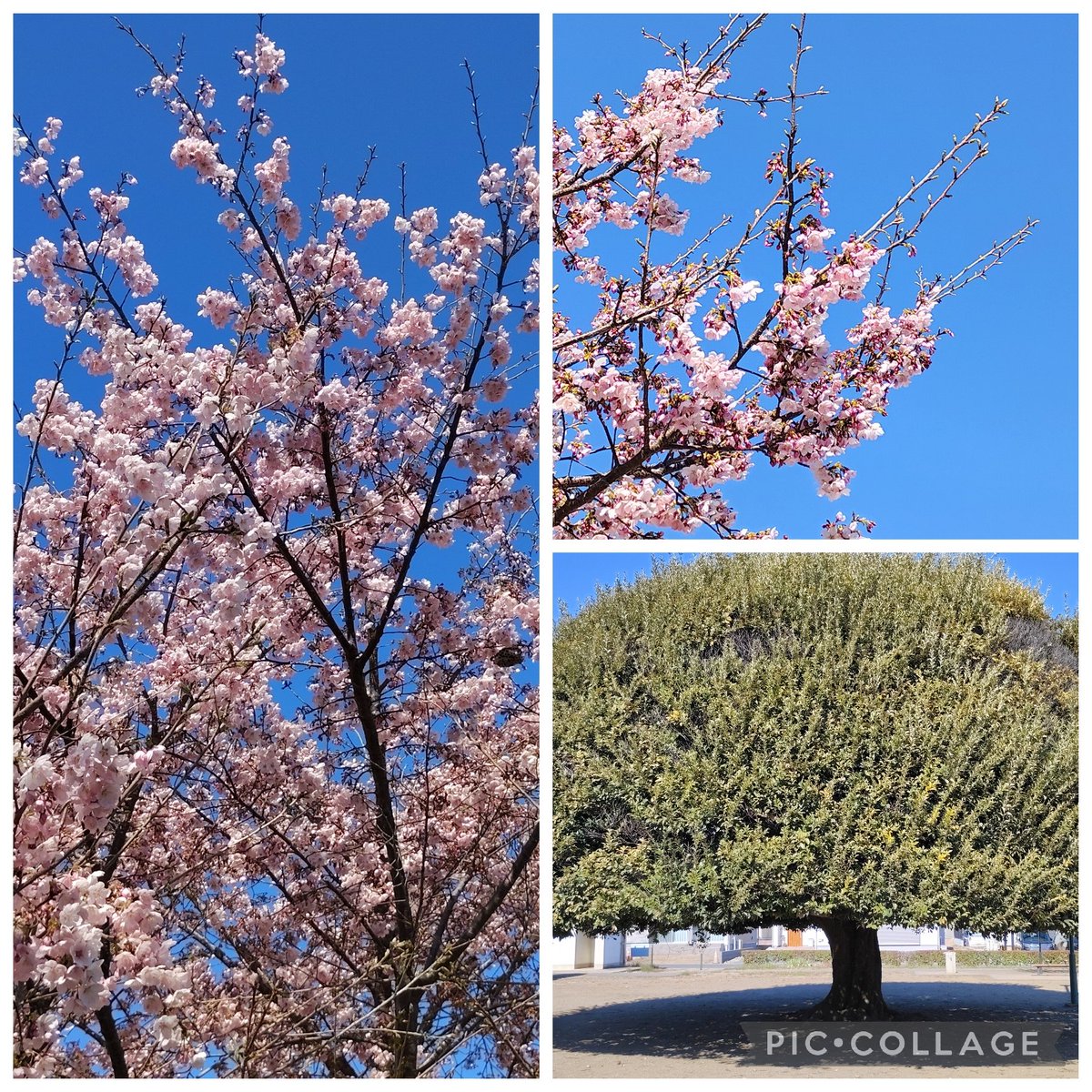 ビールとプラモと本と懐パチ探訪が好きなおじさん tweet media