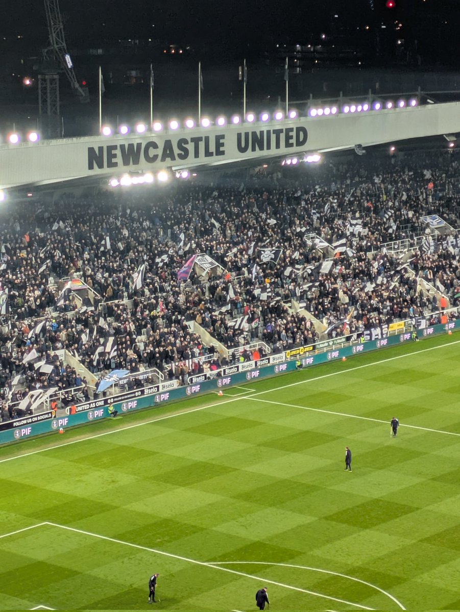 Steve Hulse tweet media