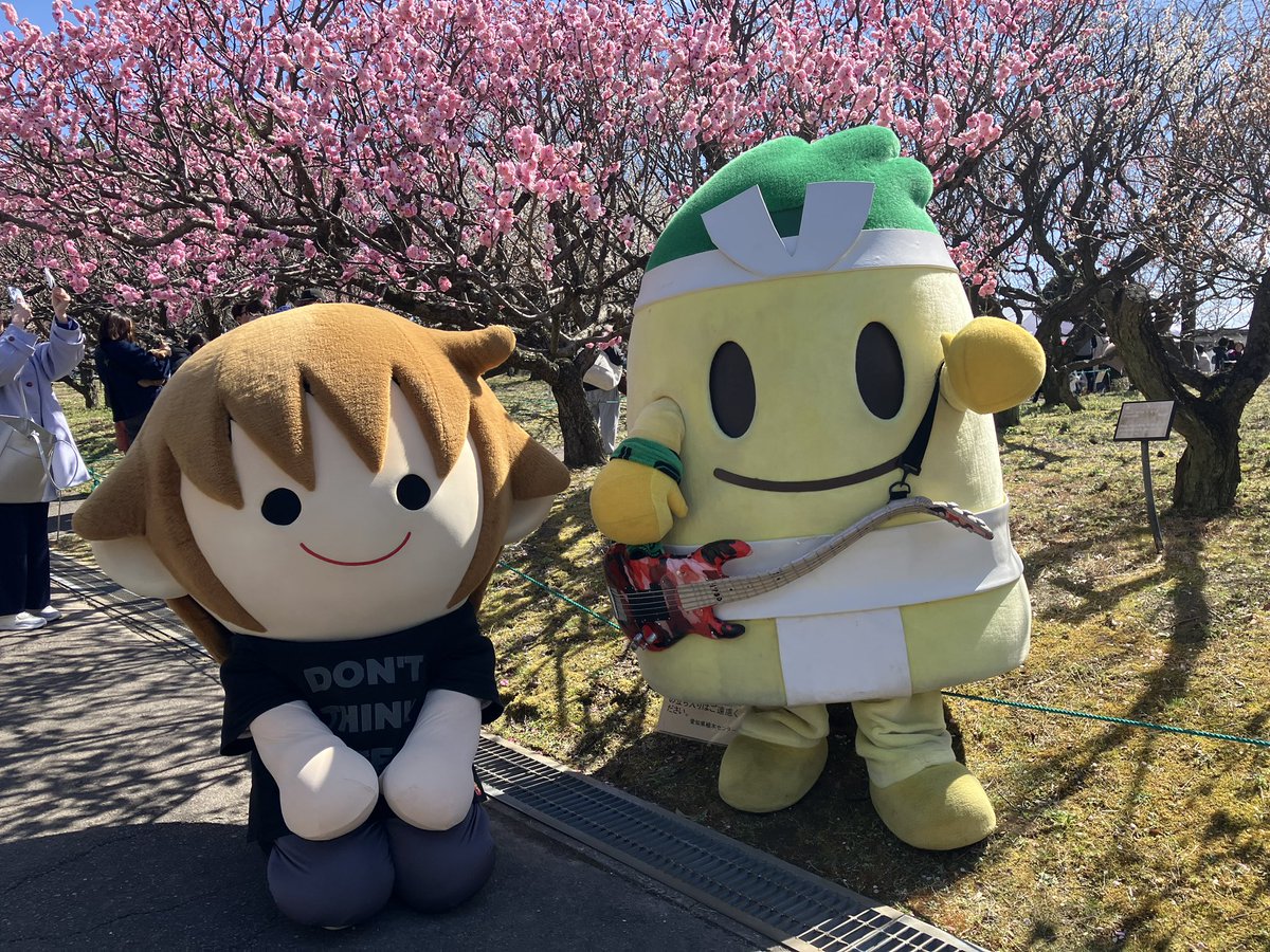 タボくん【公式】 tweet media