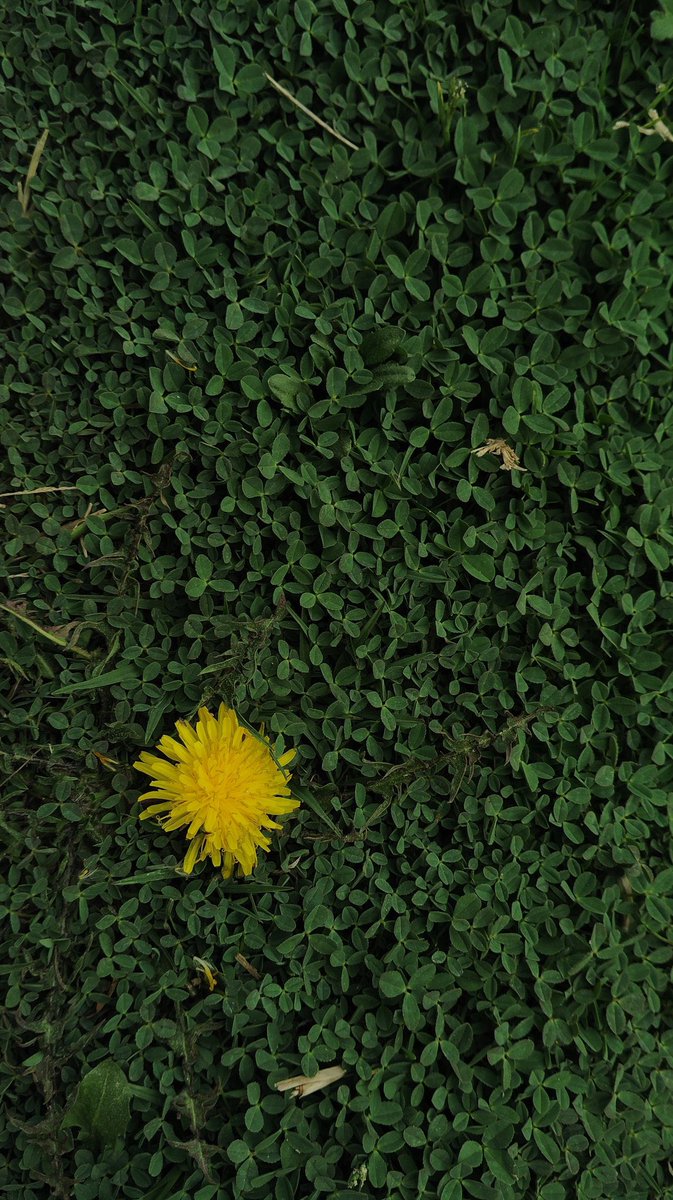 Tristan. tweet media