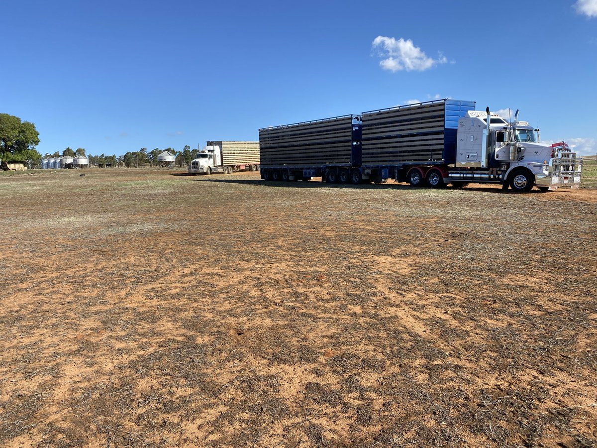 Buster Langtry tweet media