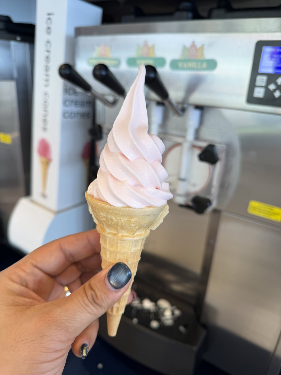 デッキ17にあるアイスクリーム屋さん Wheezy's Freezies ソフト