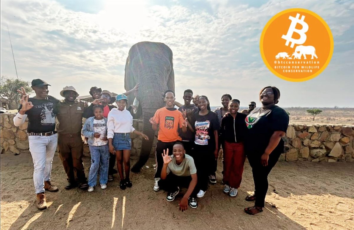 Bitcoin In The Wild tweet media