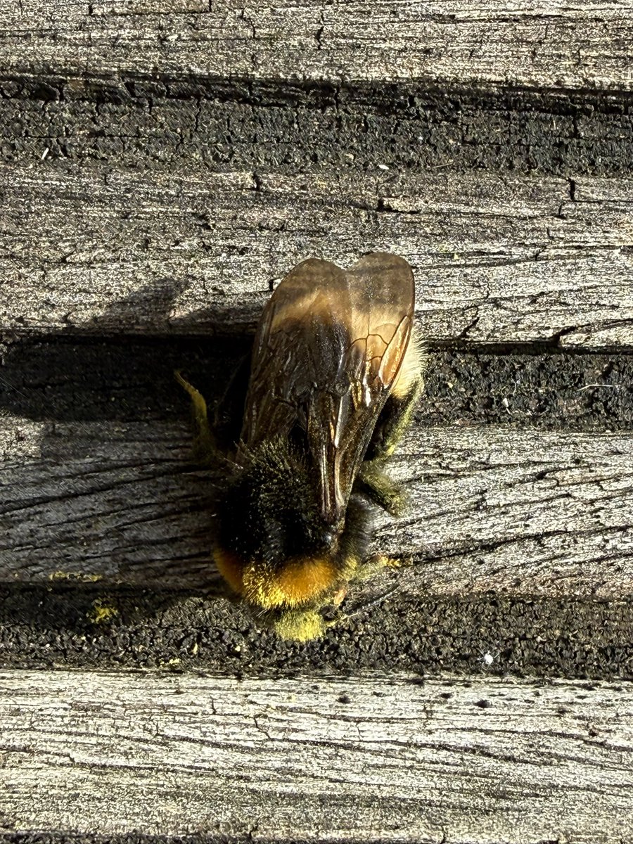 Gerade in unsere Welt gekommen