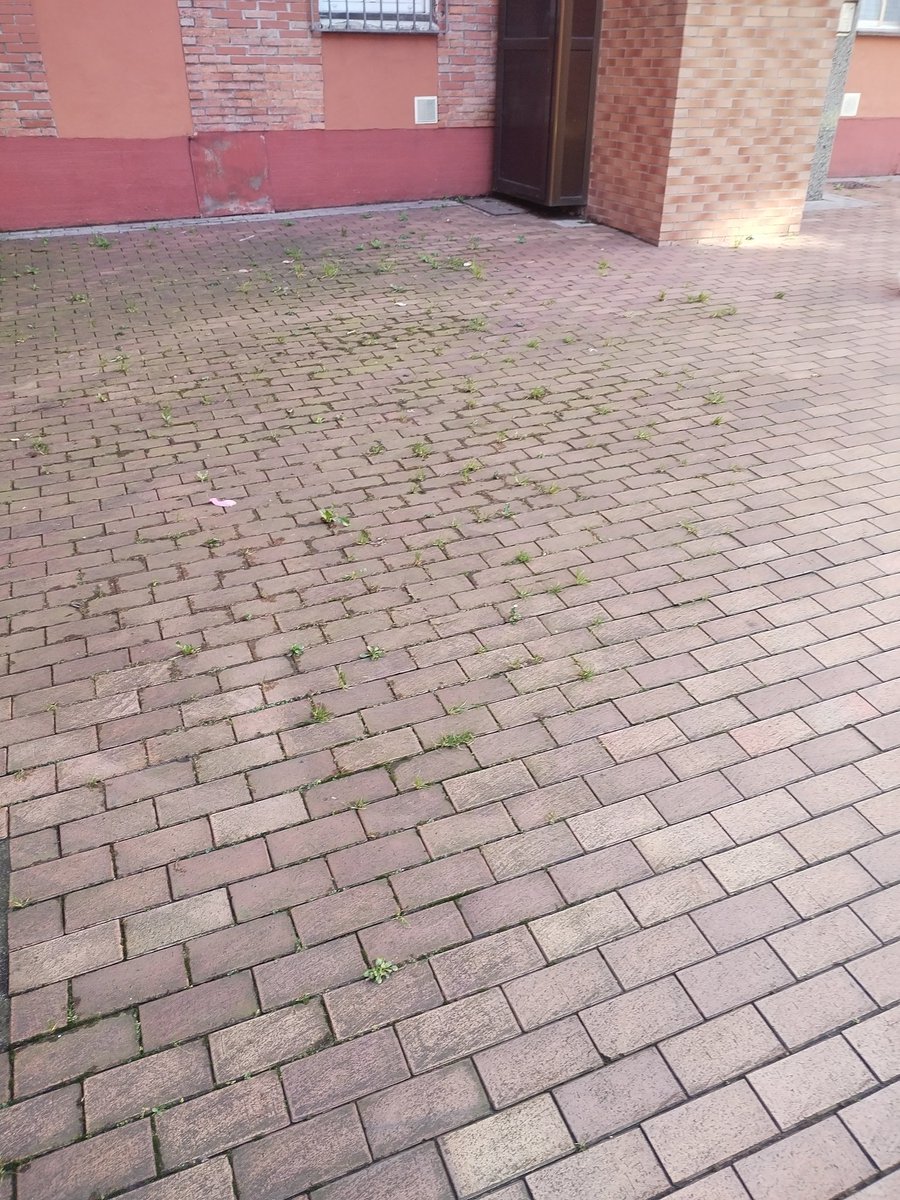 <a href="/AytoGijon/">AyuntamientoGijon</a> es normal el estado en el que teneis los patios interiores de puerto rico???