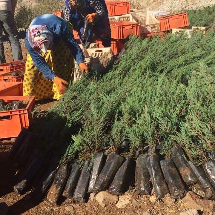 Rıdvan Söylemez tweet media