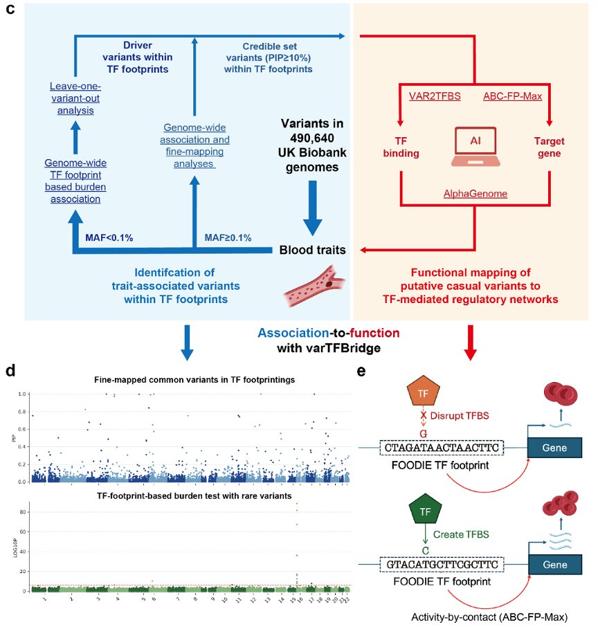 Yajie Zhao, 赵亚杰 tweet media