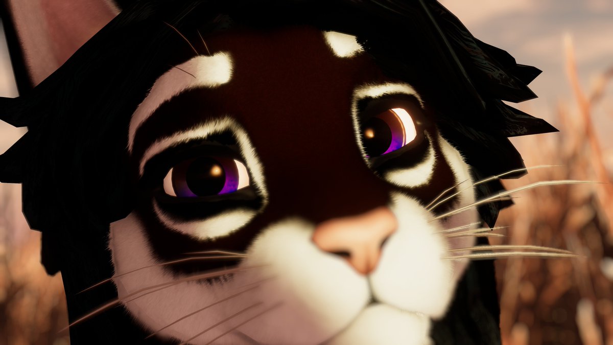 Tsespato 🔜 😸 tweet media