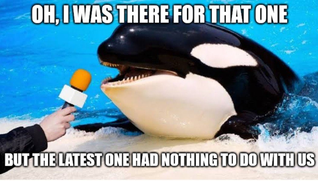 Gram Newton tweet media