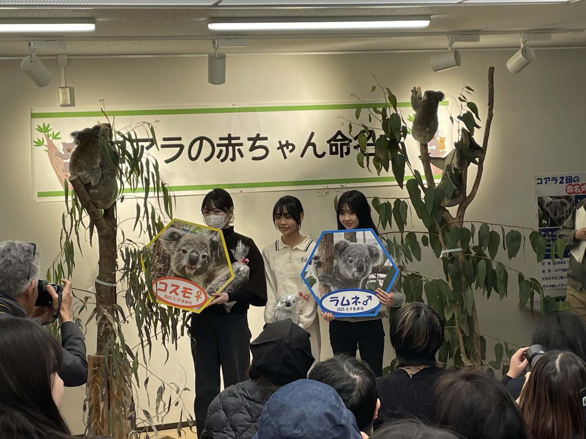 鹿児島市平川動物公園 tweet media