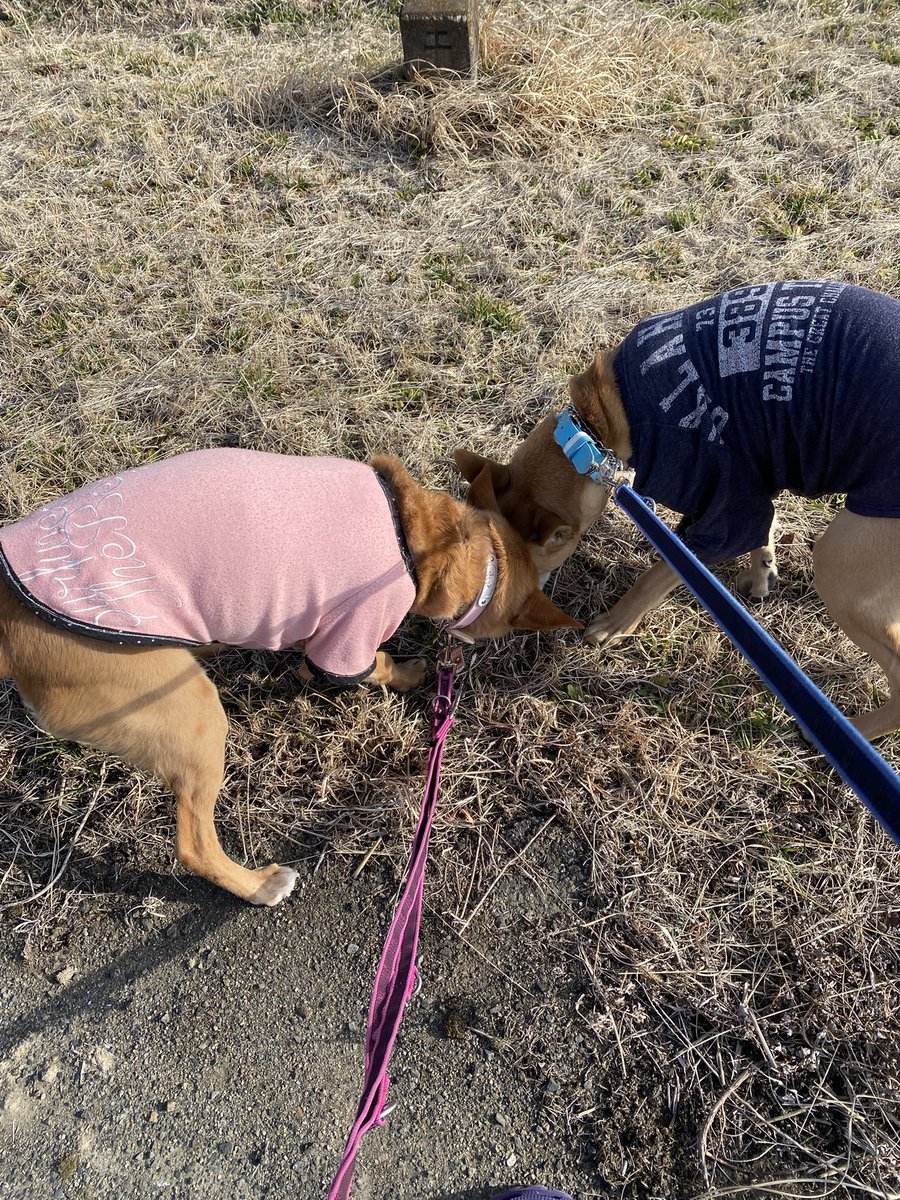 ひろぽん tweet media