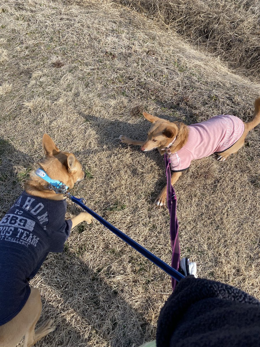 ひろぽん tweet media