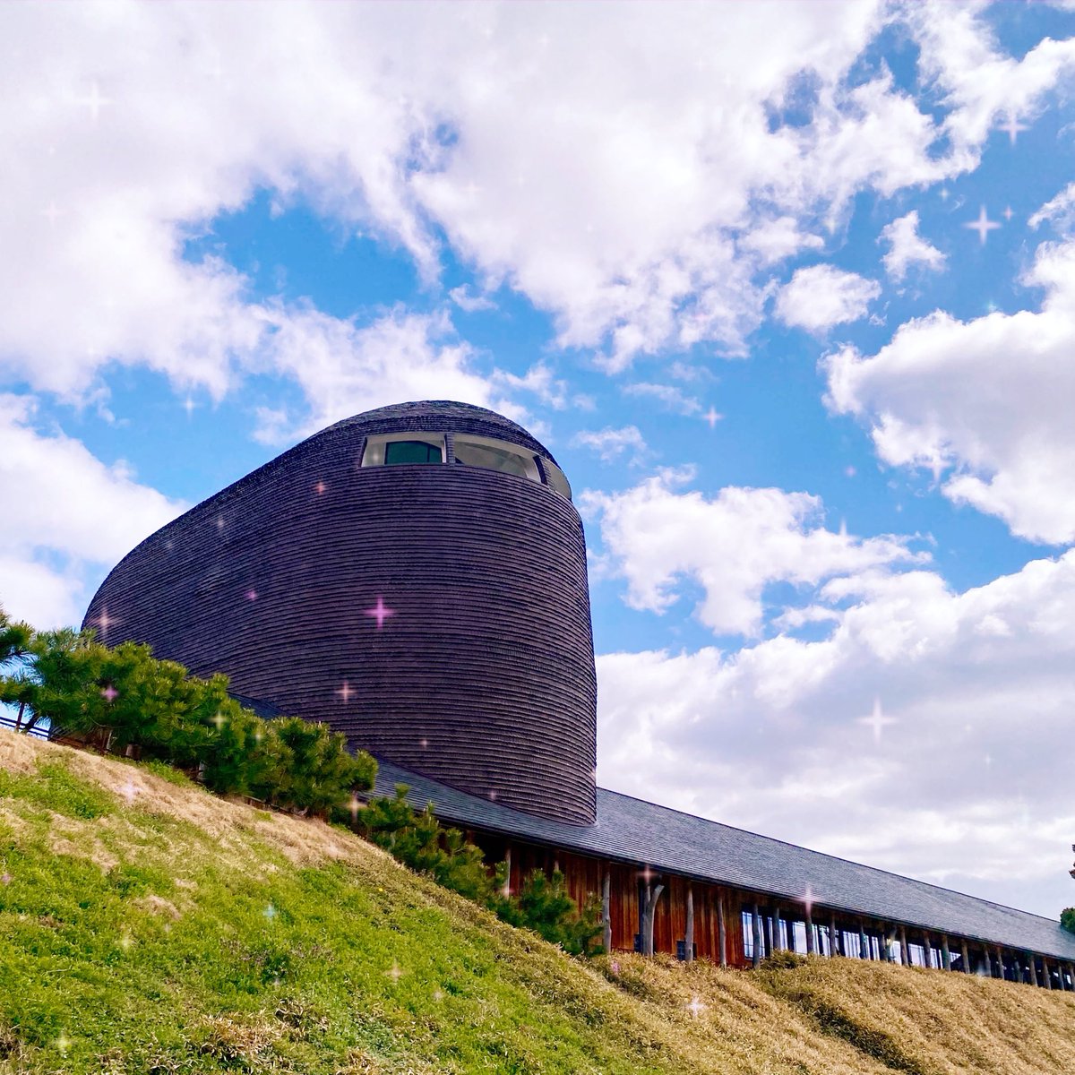 ひつじこ🐑 tweet media