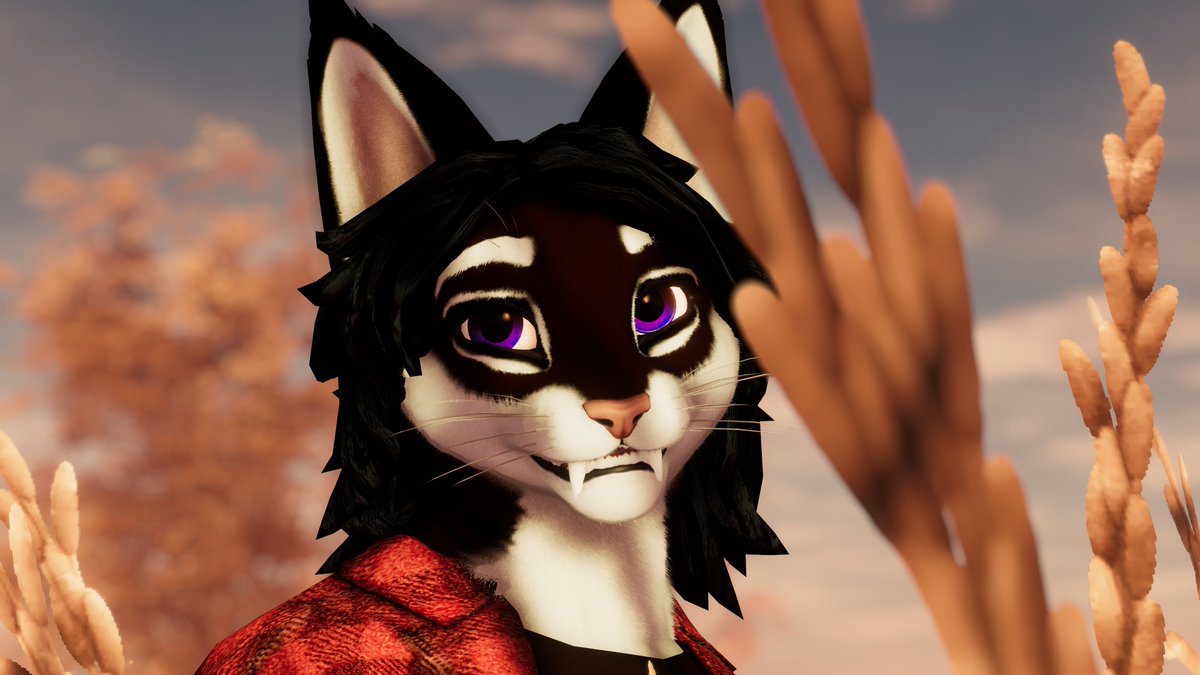 Tsespato 🔜 😸 tweet media