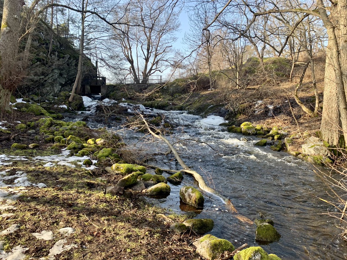 Alan Dalton tweet media