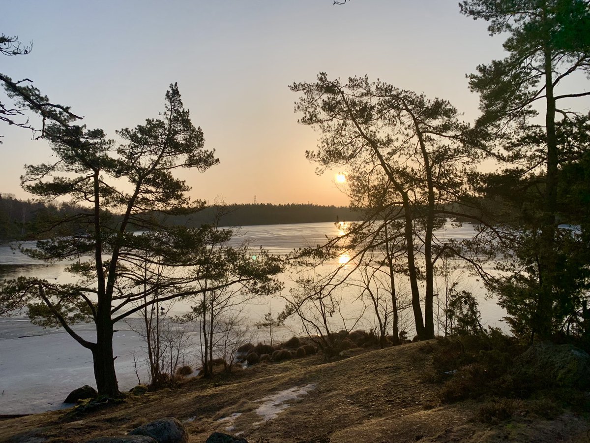 Alan Dalton tweet media