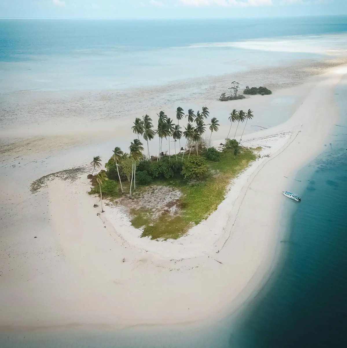 Coralbound tweet media