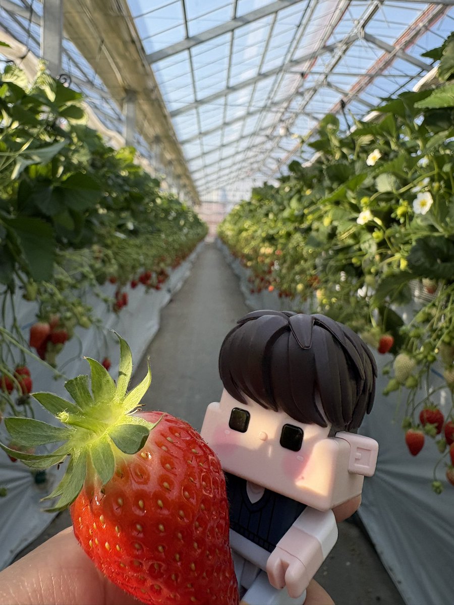 mako🐱 마코 tweet media