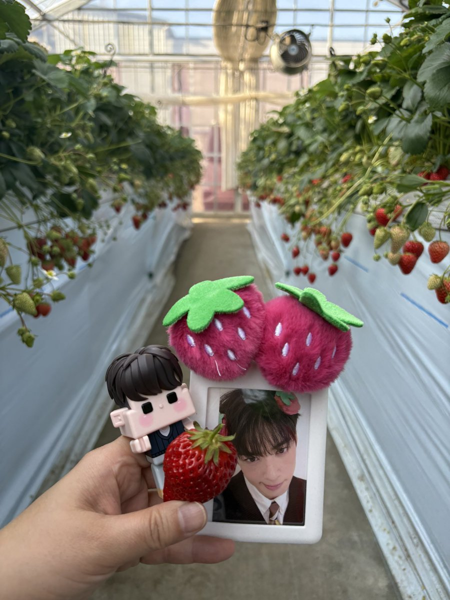 mako🐱 마코 tweet media