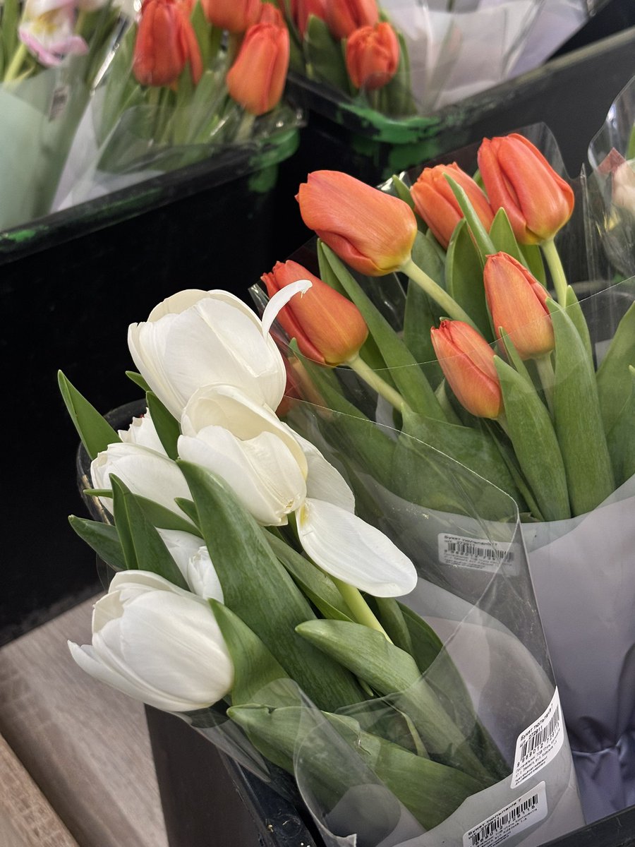 чесно я за ці помідори ухх… багато чого зроблю