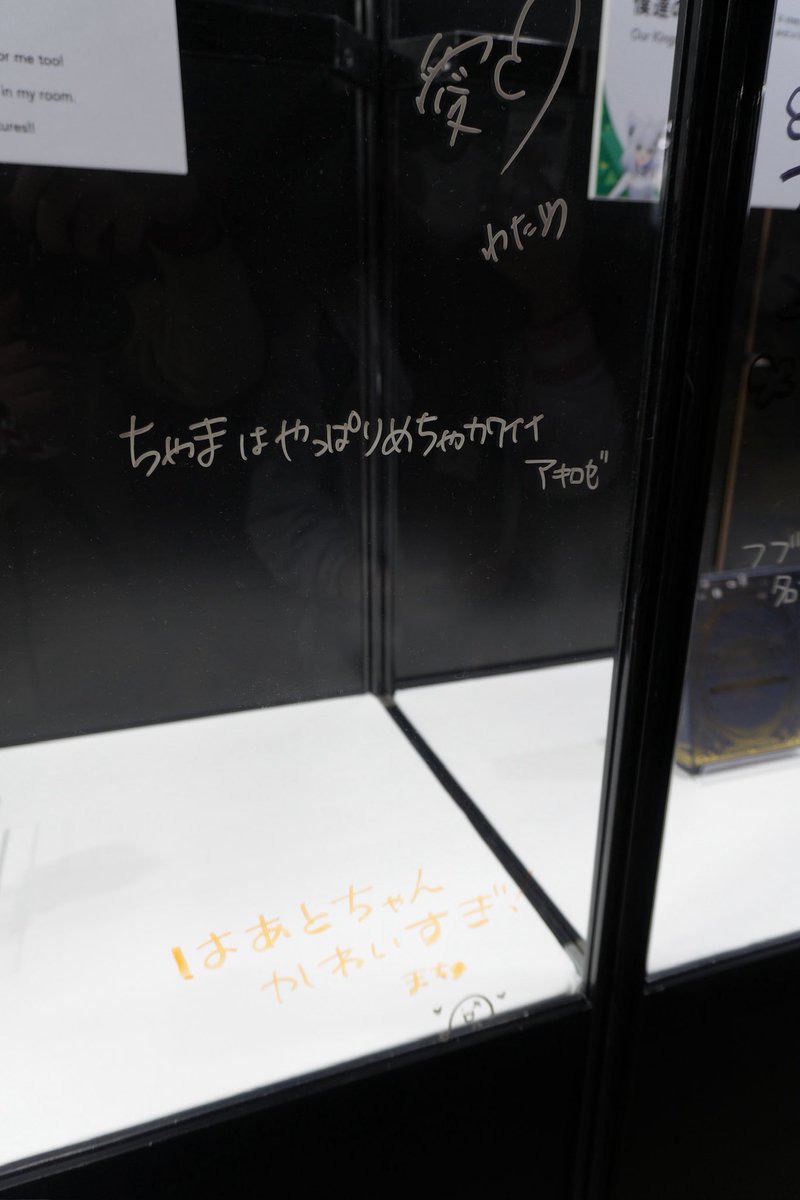 はあちゃまのパネルやタイムカプセルの展示品見たよ！
みんなからのメッセージがてぇてぇ...
#hololiveEXPOfes2026_DAY3
#推し活はあとん日記
