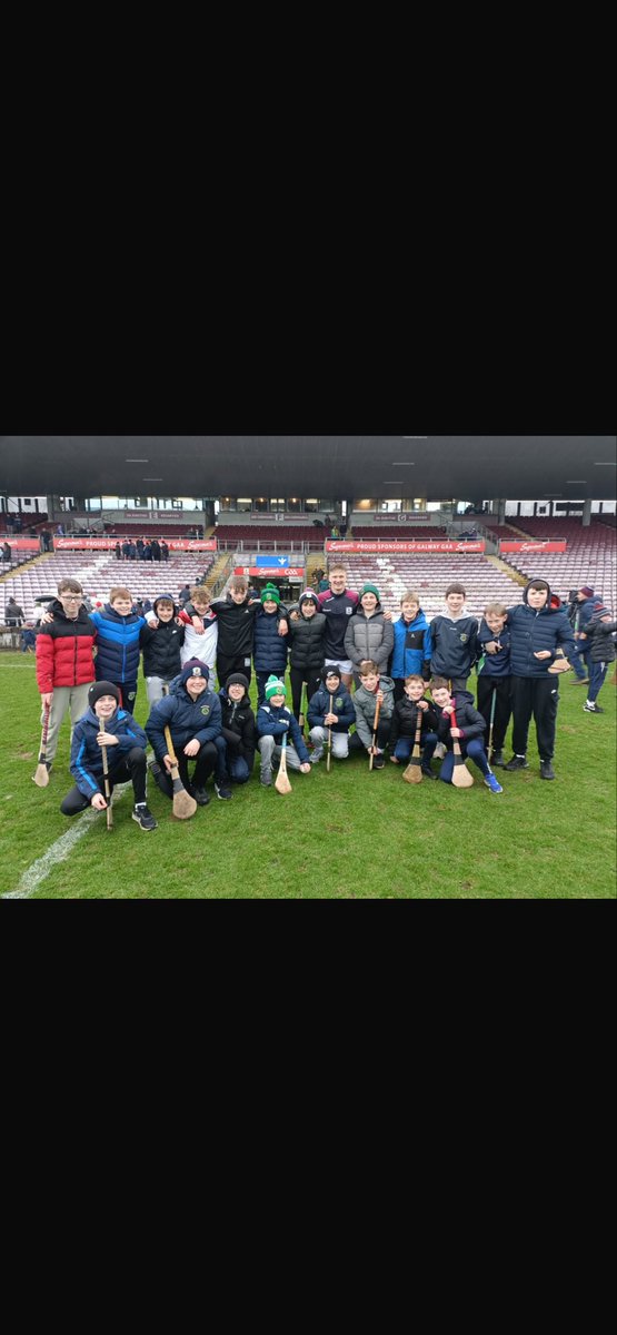 Sarsfields GAA tweet media