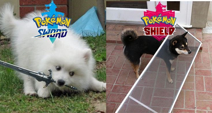 Sinnoh🌙 tweet media