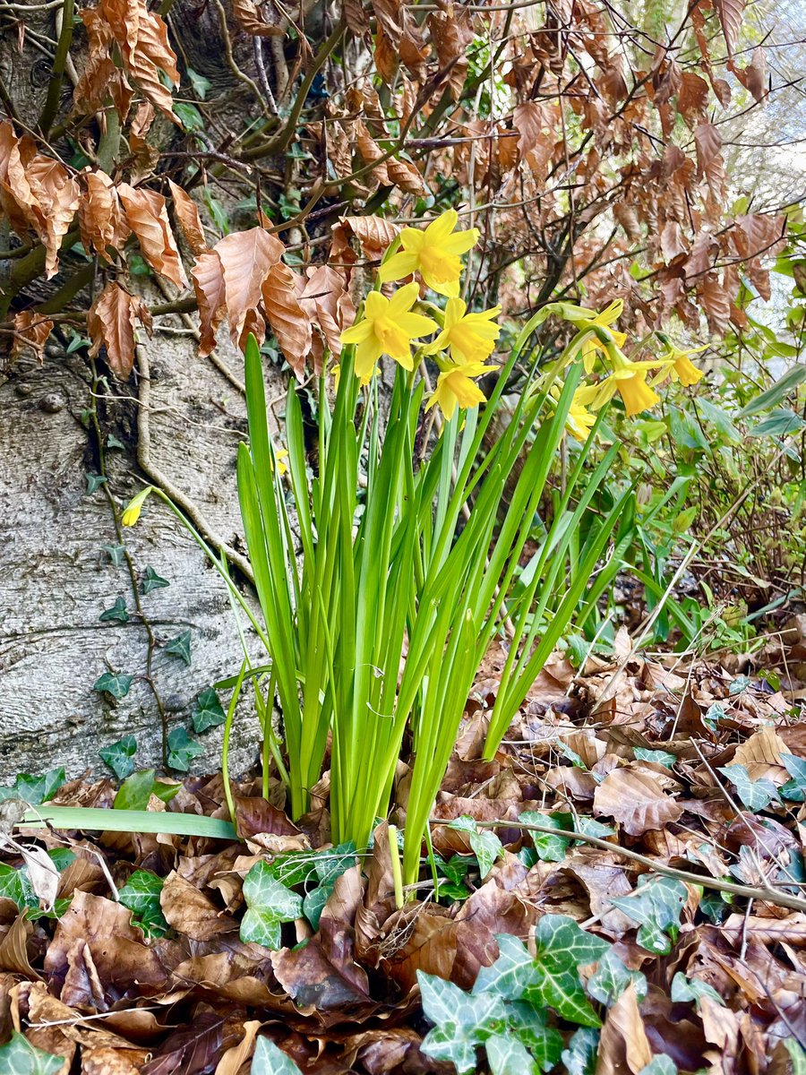 Stifyn Parri 🌈 tweet media