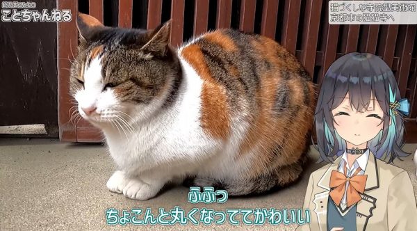 【最高】猫好きにはたまらない… 猫がいっぱいのお寺「猫猫寺（にゃんにゃんじ）」とは？
nicovideo.jp/watch/sm459510…

このお寺の住職は本物の猫。お寺の本堂には大日猫来（だいにちにゃらい）、素戔猫尊（すさにゃるのみこと）、猫照大神（ねこてらすおおみかみ）が祀られている。